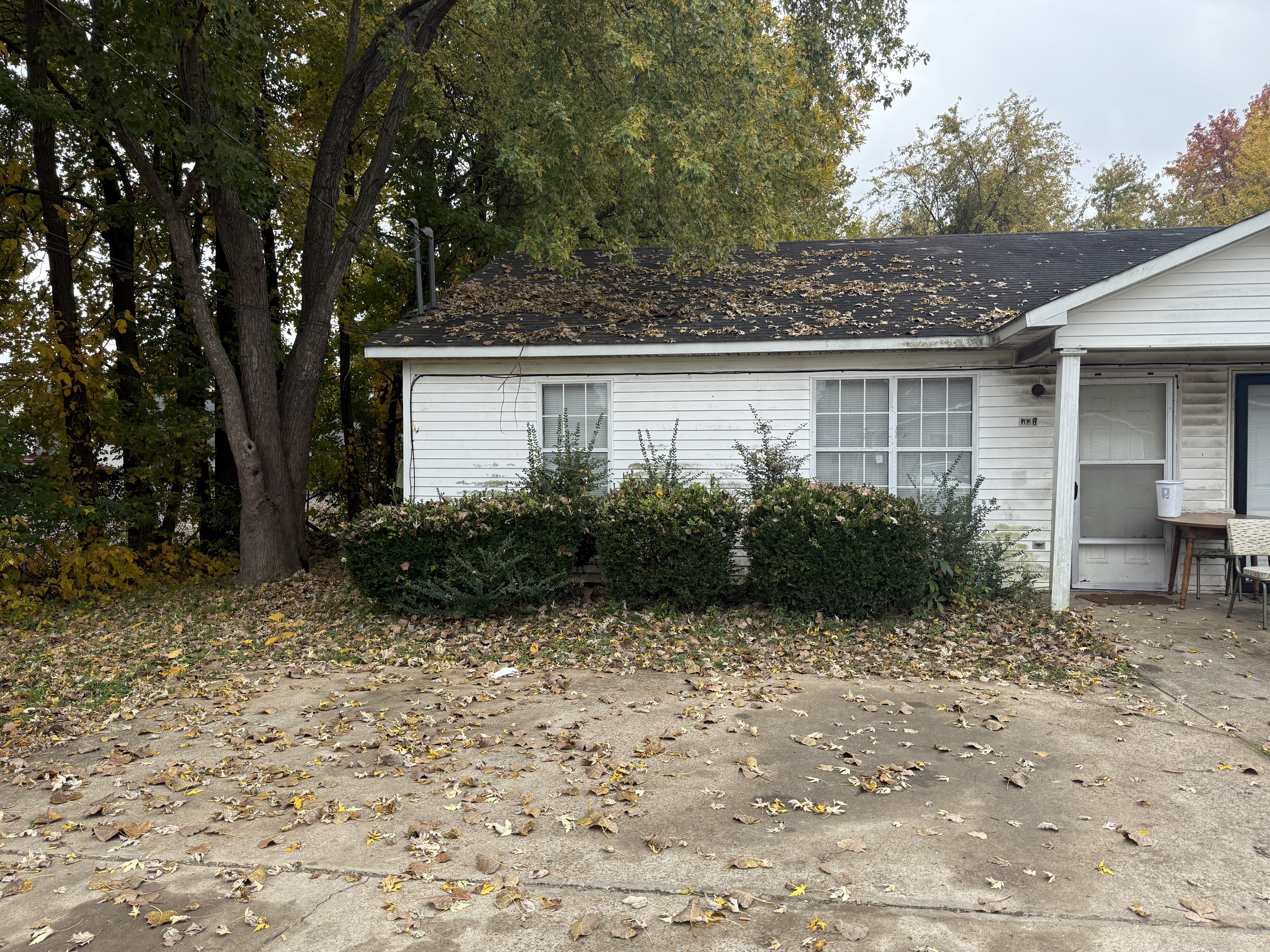 437 Josephine Drive - 1